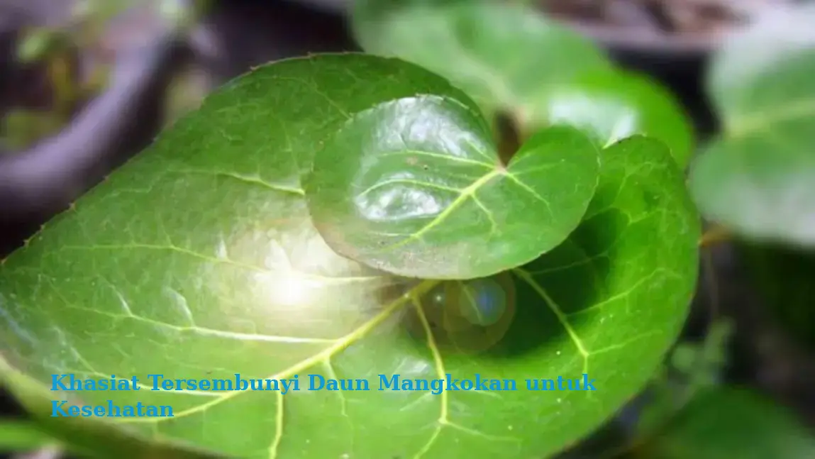 Khasiat Tersembunyi Daun Mangkokan untuk Kesehatan